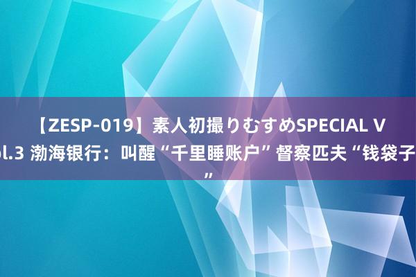 【ZESP-019】素人初撮りむすめSPECIAL Vol.3 渤海银行：叫醒“千里睡账户”督察匹夫“钱袋子”